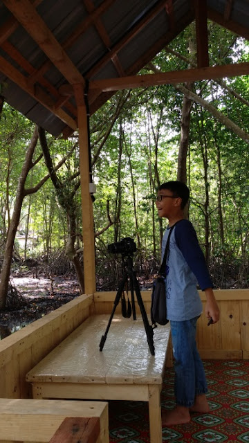 Wisata Mangrove