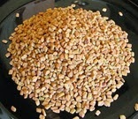 Fenugreek-methi-seeds