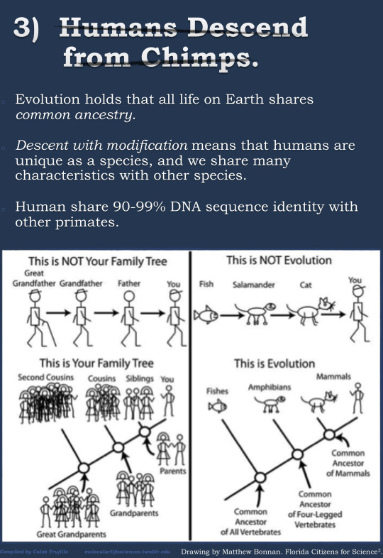 Great Infographic Breaks Down The Top 5 Misconceptions About Evolution