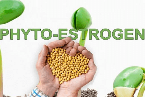 Phytoestrogen có nhiều công dụng cho phái nữ