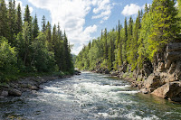 River Rapids - Photo by Jon Flobrant on Unsplash