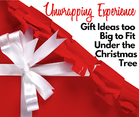Experience Gift Ideas too Big to Fit Under the Christmas  Tree