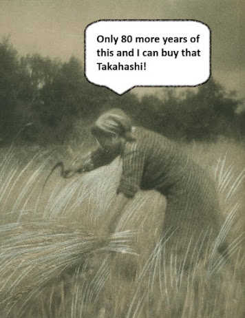 Woman harvesting wheat and dreaming of that high-end Takahashi refractor