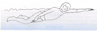 Image of swimmer doing side stroke. This is the glide phase and one arm is stretched out in front of him in a torpedo position whilst the other is down by his knees