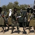 Boko Haram insurgents strike again, torch primary school and healthcare center in Yobe State