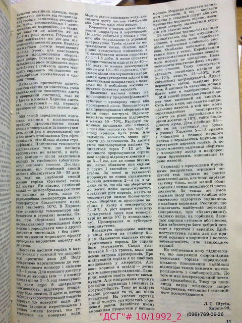 горіхи низькорослі скороплідні