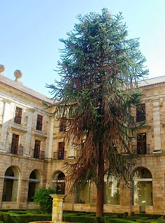 monasterio de Corias, claustro