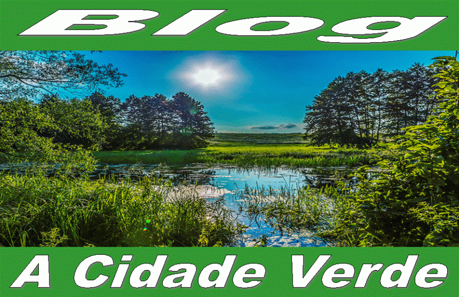 A CIDADE VERDE
