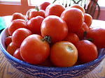 Fresh Tomatoes!