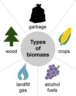 Gambar contoh biomassa