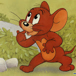 80 Gambar dan Wallpaper Tom and Jerry