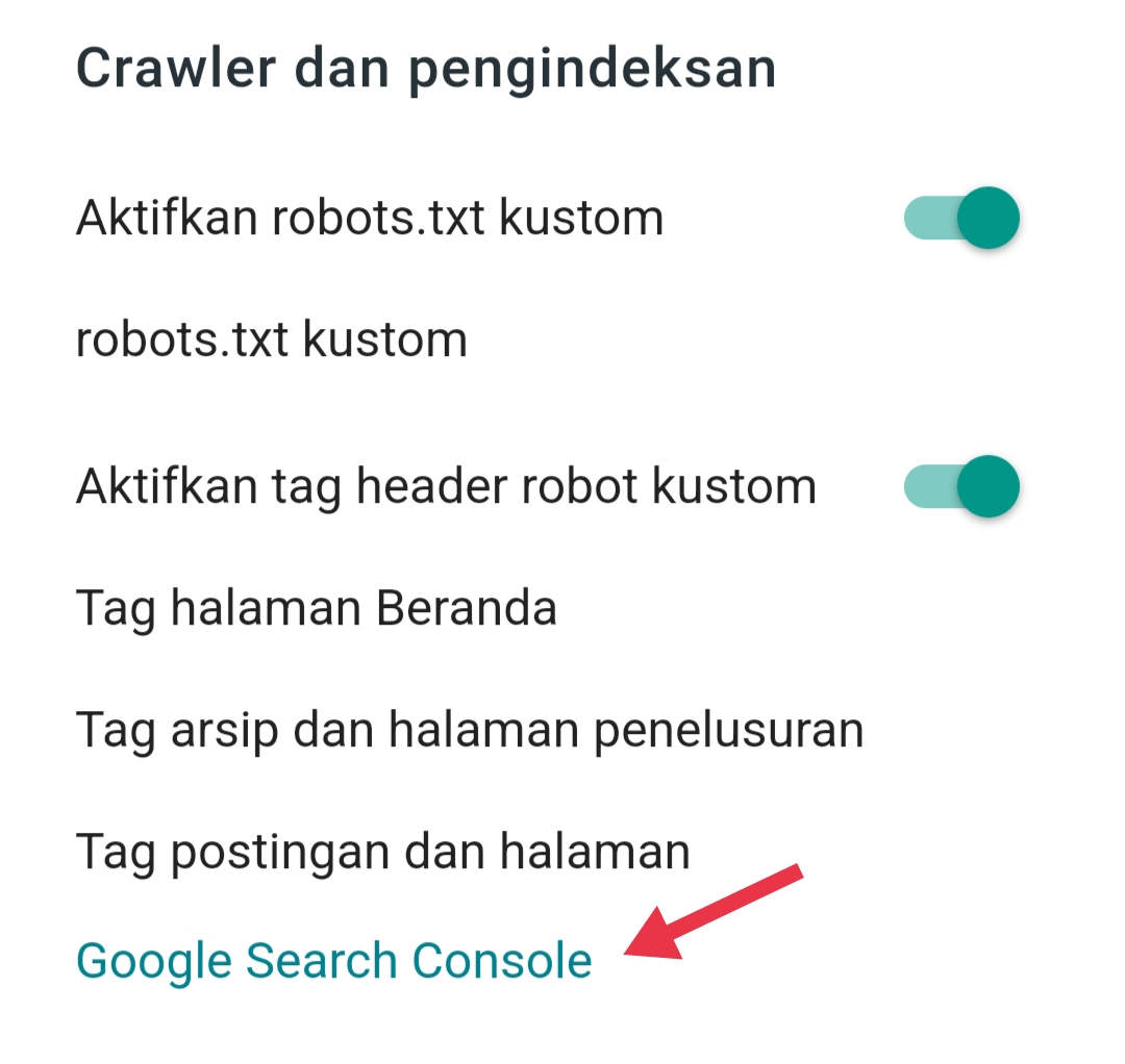Tampilan Google Search Console