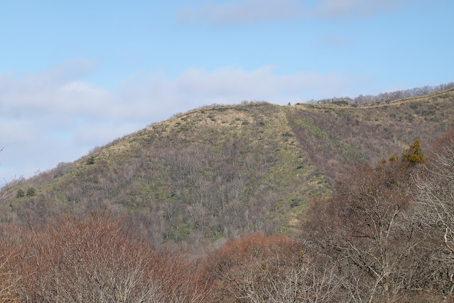 鳥取県日野郡江府町御机 蒜山大山スカイラインからの眺望