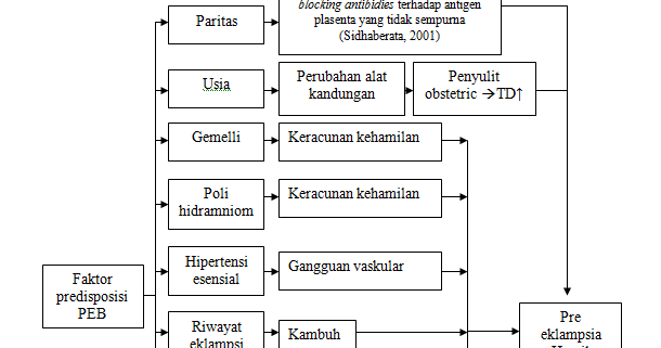 Asuhan Kebidanan pada Ibu Nifas dengan Pre Eklampsia Berat 