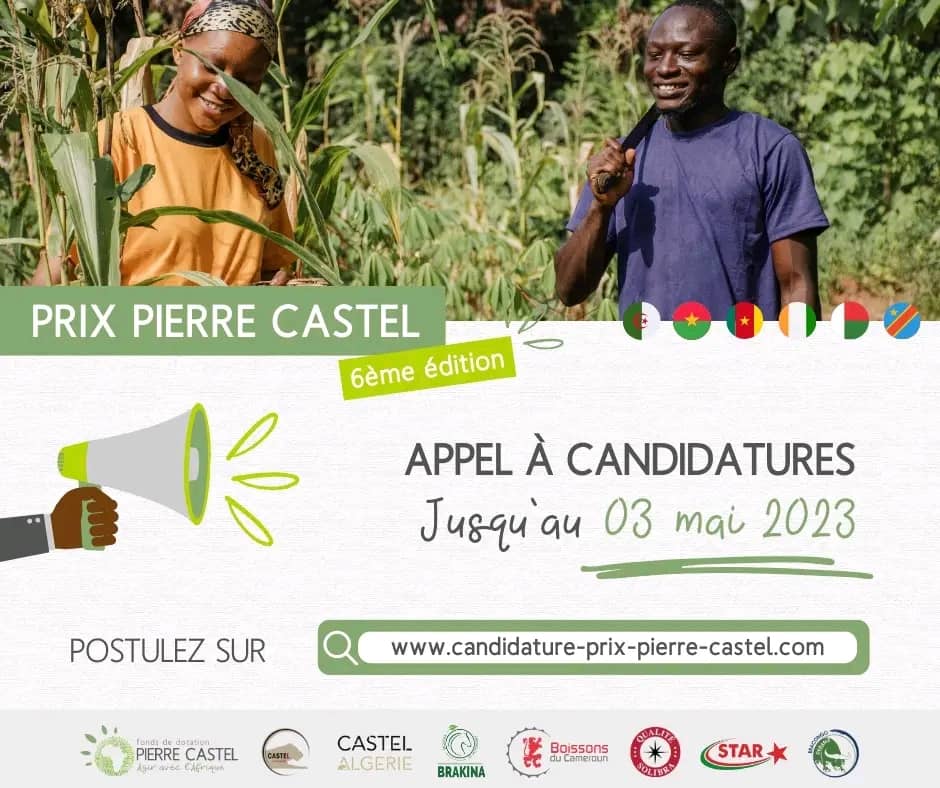 Appel à Candidatures - Prix Pierre Castel Edition 2023