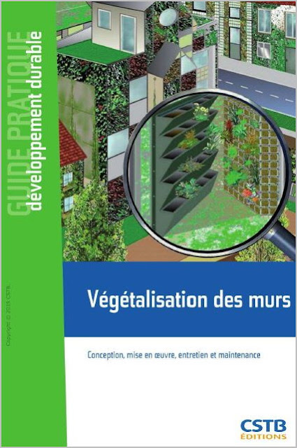 Végétalisation des murs 