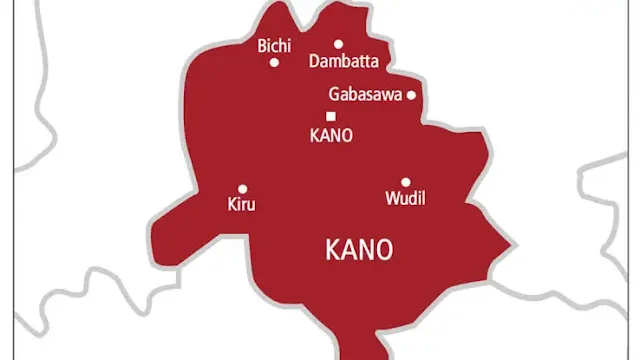 Woman nabbed with stolen goats, chickens in Kano