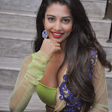 Daksha Nagarkar Hot Photo Gallery in Half Saree at Ak Rao Pk Rao Audio Launch CelebsNext (51)