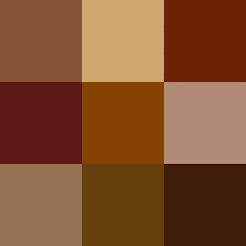 men brown colour combos