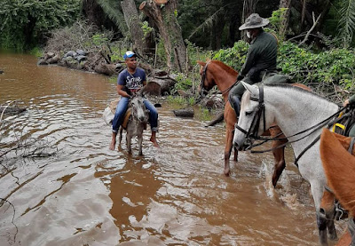 https://www.notasrosas.com/Carabineros del Cesar preservan seguridad en zona rural del departamento