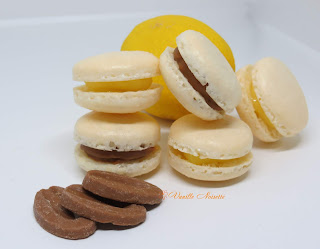 Macarons cacahuète, noisette, noix de pécan et noix de coco