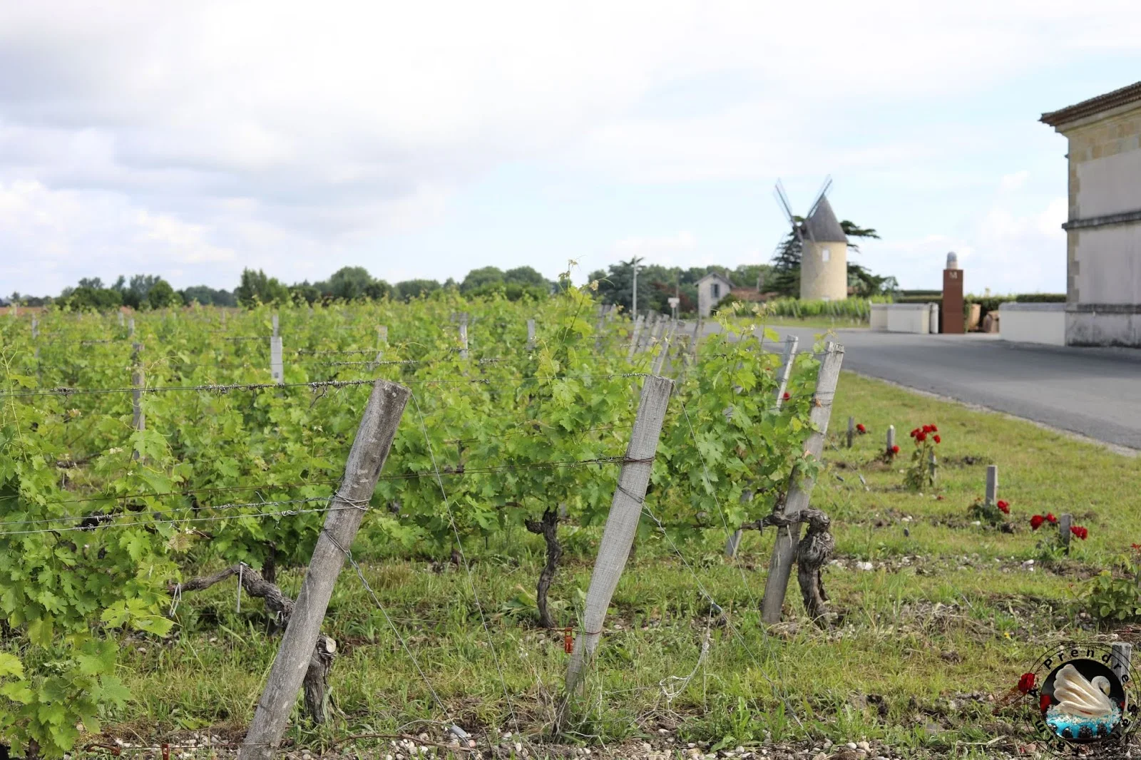 Visite et dégustations au Château Malescasse