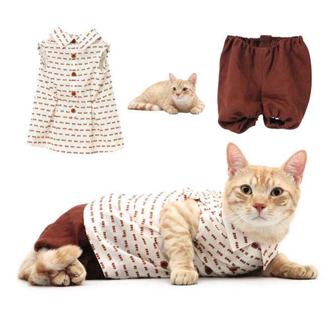 Fashion Cat Calendar...NEW YORK - UNDATED: One of the pages from United Bamboo's calendar. Fashion designers Thuy Pham and Miho Aoki who are collectively known as United Bamboo have for the second year created a calendar featuring cats wearing mini versions of their designs. The calendar which features 12 different cats dressed in their haute couture. The calendars are available for $50 on the United Bamboo website and profits of the sale will be divided between charities Animal Haven and Kitty Kind. IMAGE SUPPLIED BY BARCROFT MEDIA LTD UK Office, London. T +44 845 370 2233 W www.barcroftmedia.com USA Office, New York City. T +1 212 564 8159 W www.barcroftusa.com Indian Office, Delhi. T +91 114 653 2118 W www.barcroftindia.com Australasian & Pacific Rim Office, Melbourne. E info@barcroftpacific.com T +613 9510 3188 or +613 9510 0688 W www.barcroftpacific.com
