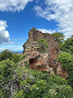 A photo of an overgrown area with a ruined red stone wall sticking out of it.  Photo by Kevin Nosferatu for the Skulferatu Project.