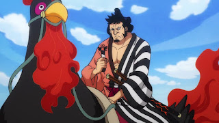 ワンピースアニメ | 錦えもん KINEMON 赤鞘九人男 | ONE PIECE Nine Red Scabbards