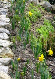 Spring 4
