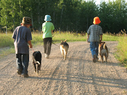 Three Boys and Their Dogs