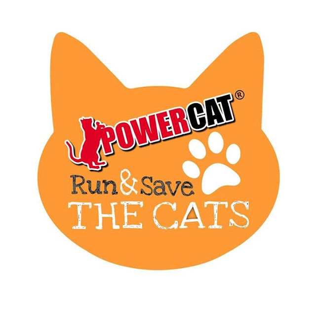 Run & Save The Cats 2016