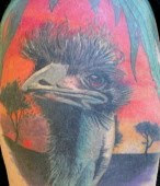 ostrich tattoo design for body