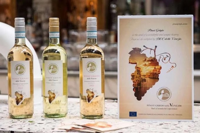 Una Tournée Mondiale firmata Pinot Grigio Delle Venezie DOC, stile iconico e distintivo del Nordest Italiano