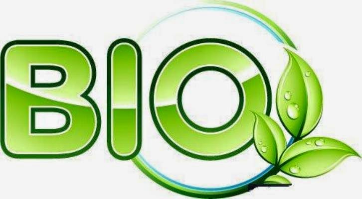 662 Contoh Judul Skripsi Pendidikan Biologi dan Biologi 