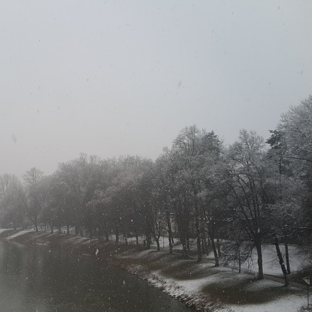 Snow in Spring, Hradec Kralove, Czech