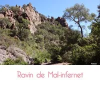 Balade au cœur du ravin de Mal Infernet (Massif d'Esterel)