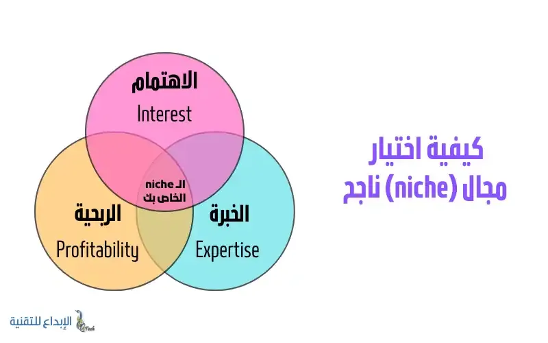 كيفية تعلم تحسين محركات البحث - اختيار نيتش ناجح