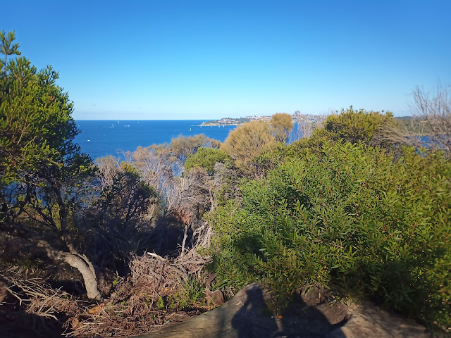 View from Spit to Manly walk