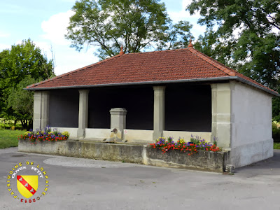 REPEL (88) - Le lavoir (XIXe)