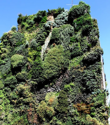 Jardín vertical Caixaforum 2011