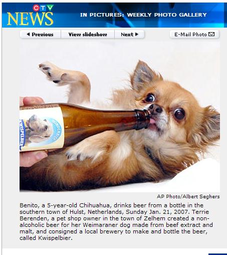 cerveza para perros