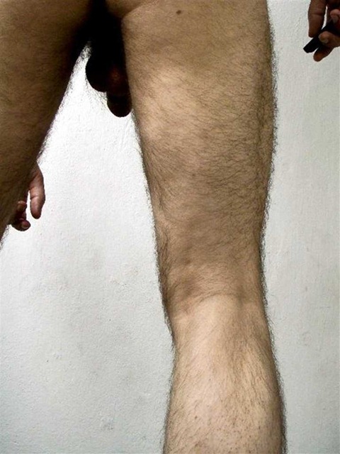 Cat's Eye View