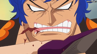 ワンピースアニメ ドレスローザ編 691話 イデオ Ideo CV.相沢まさき | ONE PIECE Episode 691