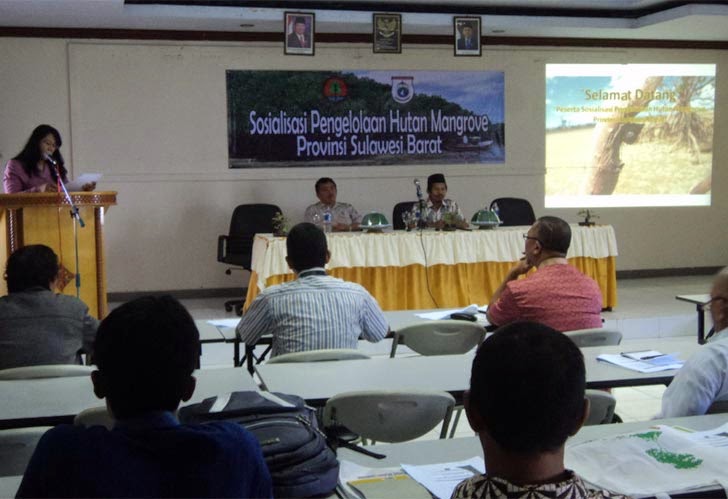 Kegiatan Sosialisasi Hutan Mangrove di Sulbar