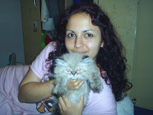 Eu e meu lindo gatinho, Petit Gateau aos 2 meses