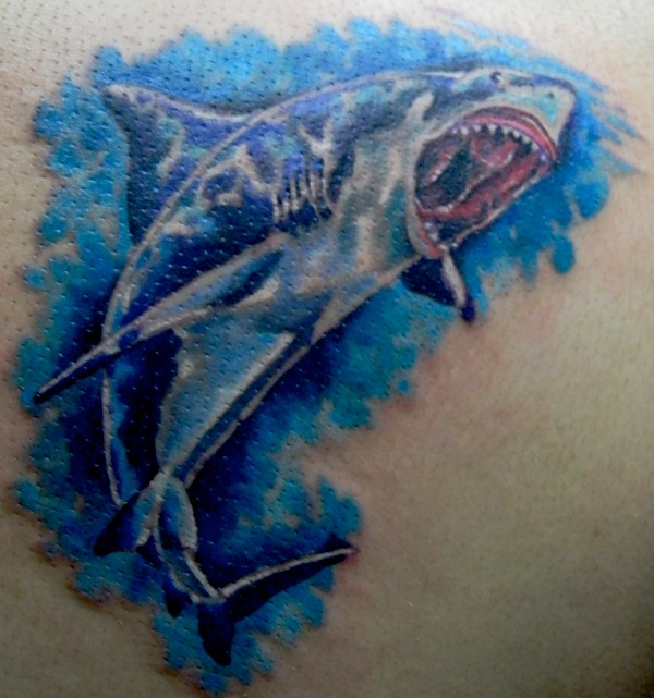 2nd up is kevin's second shark tattoo his 1st one healed up really well 