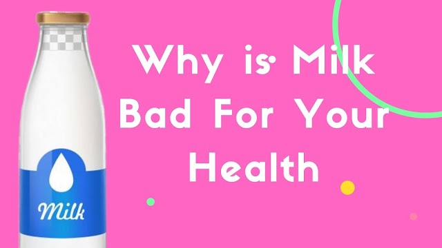 Can Why is Milk Bad For Your Health? Some Secrets