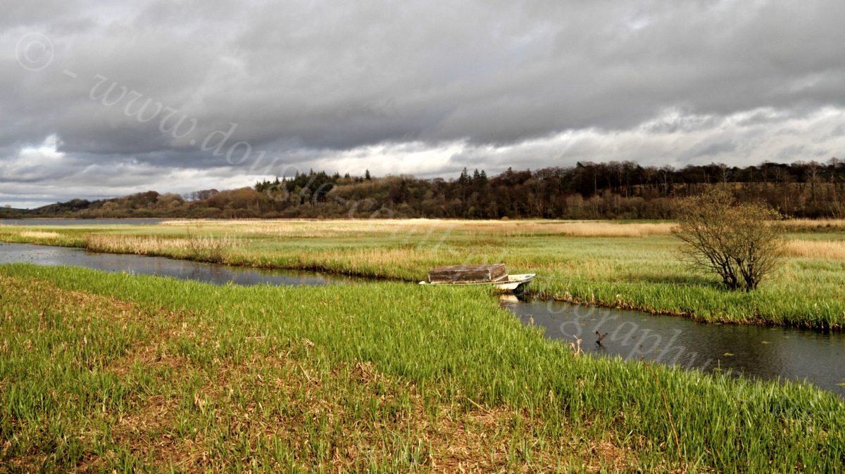 Lochwinnoch Nature Reserve