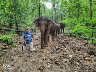 Elephant Whisperer , Anand Shinde